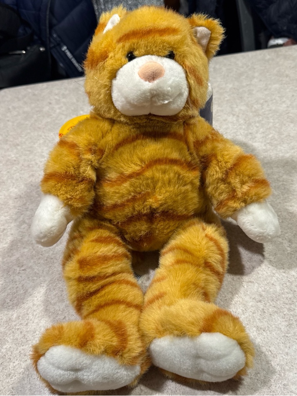 Tabby cat Build A Bear